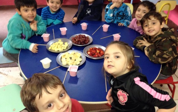 CULINARIA  NO JARDIM A – FONDUE DE FRUTAS  COM  IOGURTE