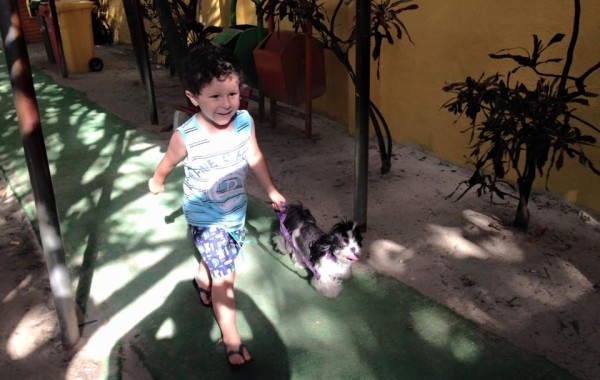 DESFILE   PET  NA  REI  ARTHUR