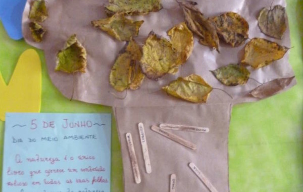 TRABALHOS SOBRE  O MEIO AMBIENTE