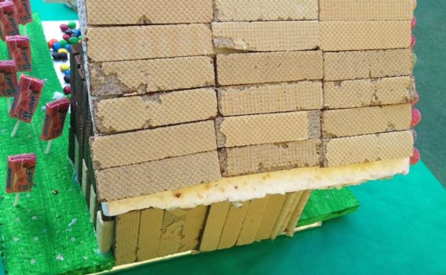 17884020_737136083131168_8427925771112064986_n